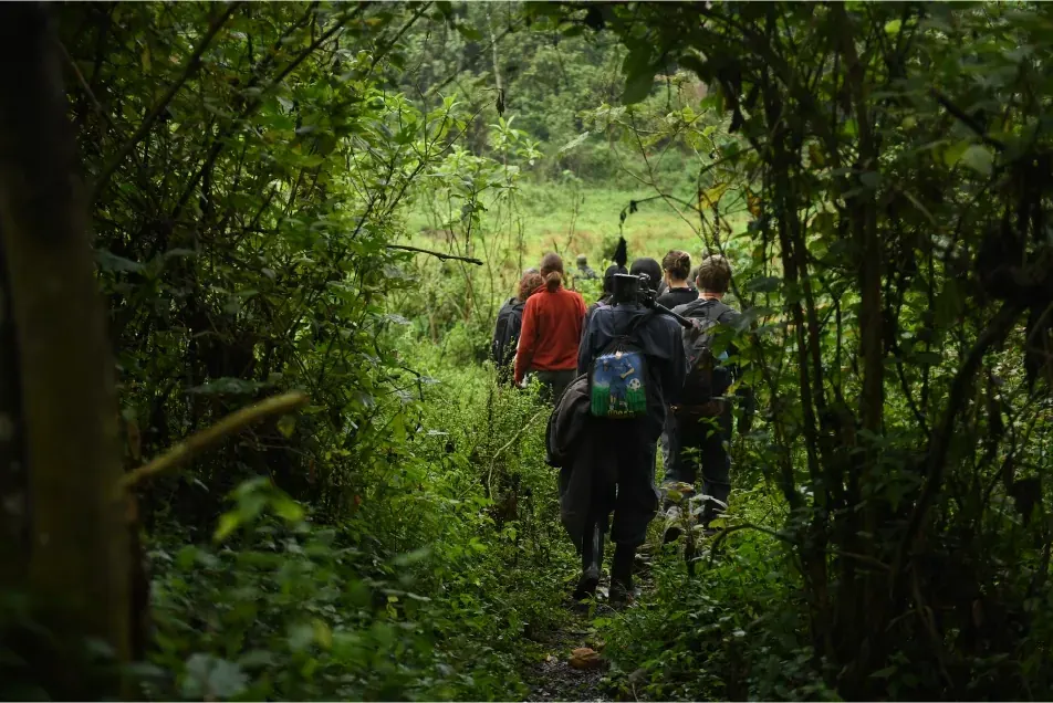 Trekkers following a ranger along a narrow forest path in Bwindi
