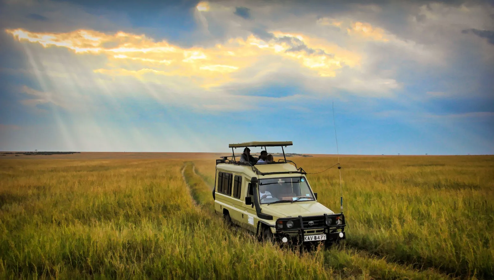 A safari vehicle on a track through golden grassland in Kenya